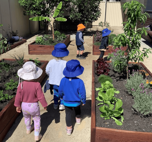 Chinderah Gardening