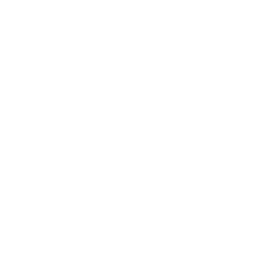 Key icon white